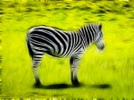 Fractalius image of a zebra