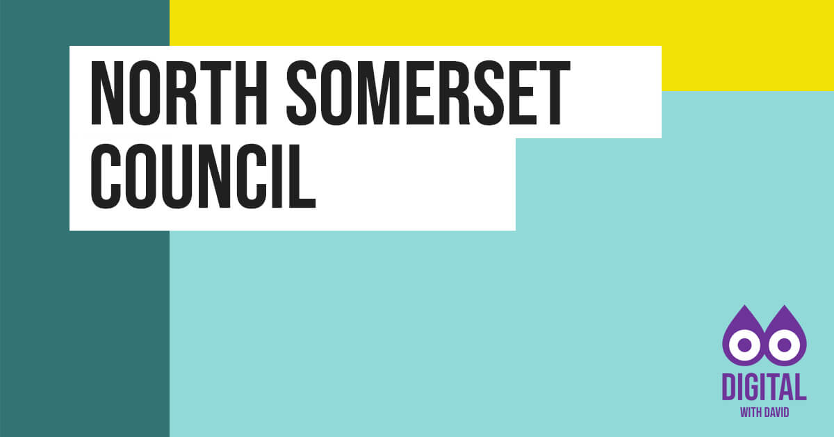 David Hodder - North Somerset Council Banner